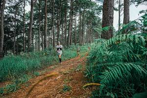 BIB: 
                            <button type="button" onclick="openModal(25689593)" class="btn btn-primary btn-sm float-right btn-popup" data-toggle="modal" data-target=".modal-high-quality">
                        <i class="fas fa-shopping-cart"></i> Add to Cart
                    </button>
                                            <button type="button" onclick="isThisMe(25689593, true)" class="btn btn-success btn-sm float-right btn-popup btn-isme hidden" data-toggle="tooltip" data-placement="bottom" title="นี่คือรูปของคุณใช่ไหม คลิกที่นี่เพื่อเอาเข้าอัลบั้ม">
                        <i class="fas fa-plus"></i> Add to album
                    </button>
                    <button type="button" onclick="isThisMe(25689593, false)" class="btn btn-warning btn-sm float-right btn-popup btn-isnotme hidden">
                        <i class="fas fa-ban"></i> Remove from album
                    </button>